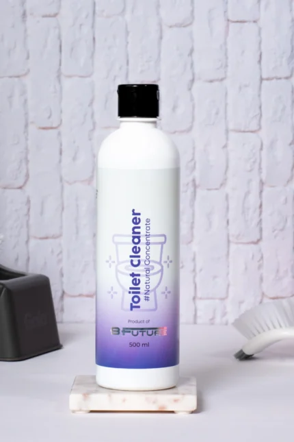 Toilet Cleaner